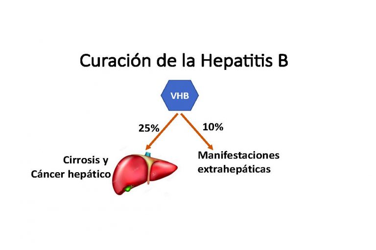 Descubre Mas Sobre El Tratamiento Para La Hepatitis – Sepa2018